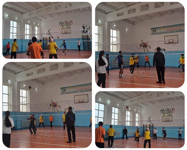 Волейбол үйірмесі  